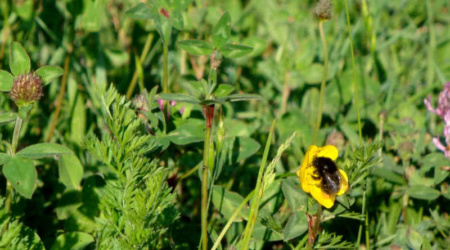 Der Sinn des Lebens - Natur pur